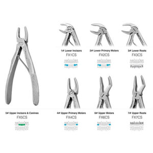 GDC Extraction Forcep Peedo Set of 7