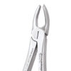 GDC Upper Molars Left FX18 Extraction Forceps